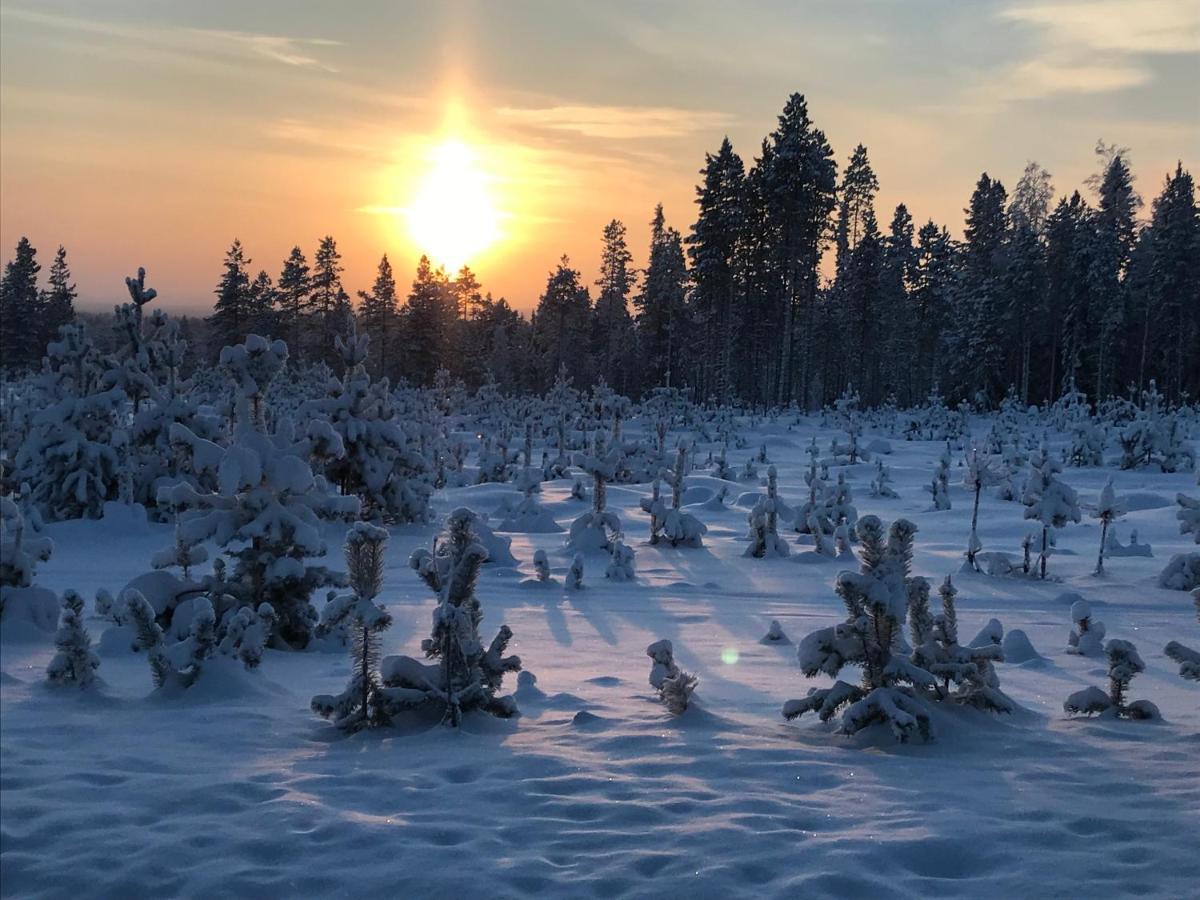 Soppela Retreat At The Arctic Circle Lejlighed Kemijärvi Eksteriør billede
